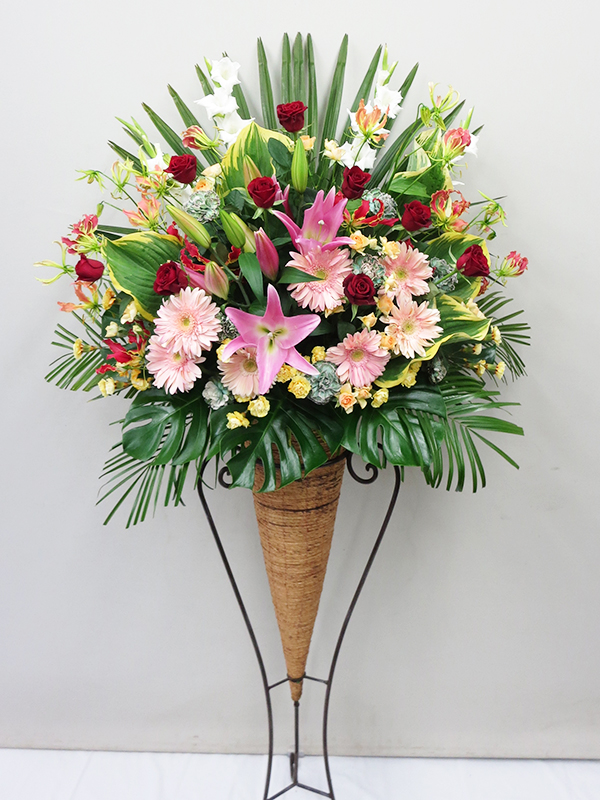 コーンスタンド：Corn Stand Flower