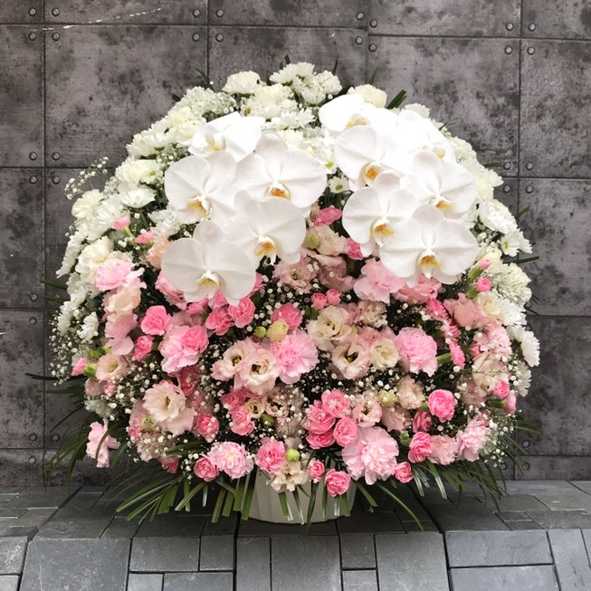 【御供】スフェアアレンジメントP胡蝶蘭W_75_MS-OS