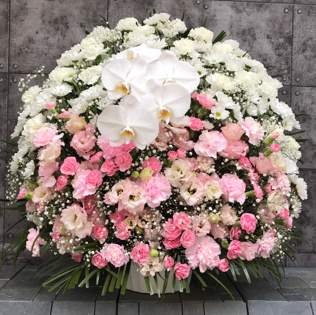 【御供】スフェアアレンジメントP胡蝶蘭_75_MS-OS