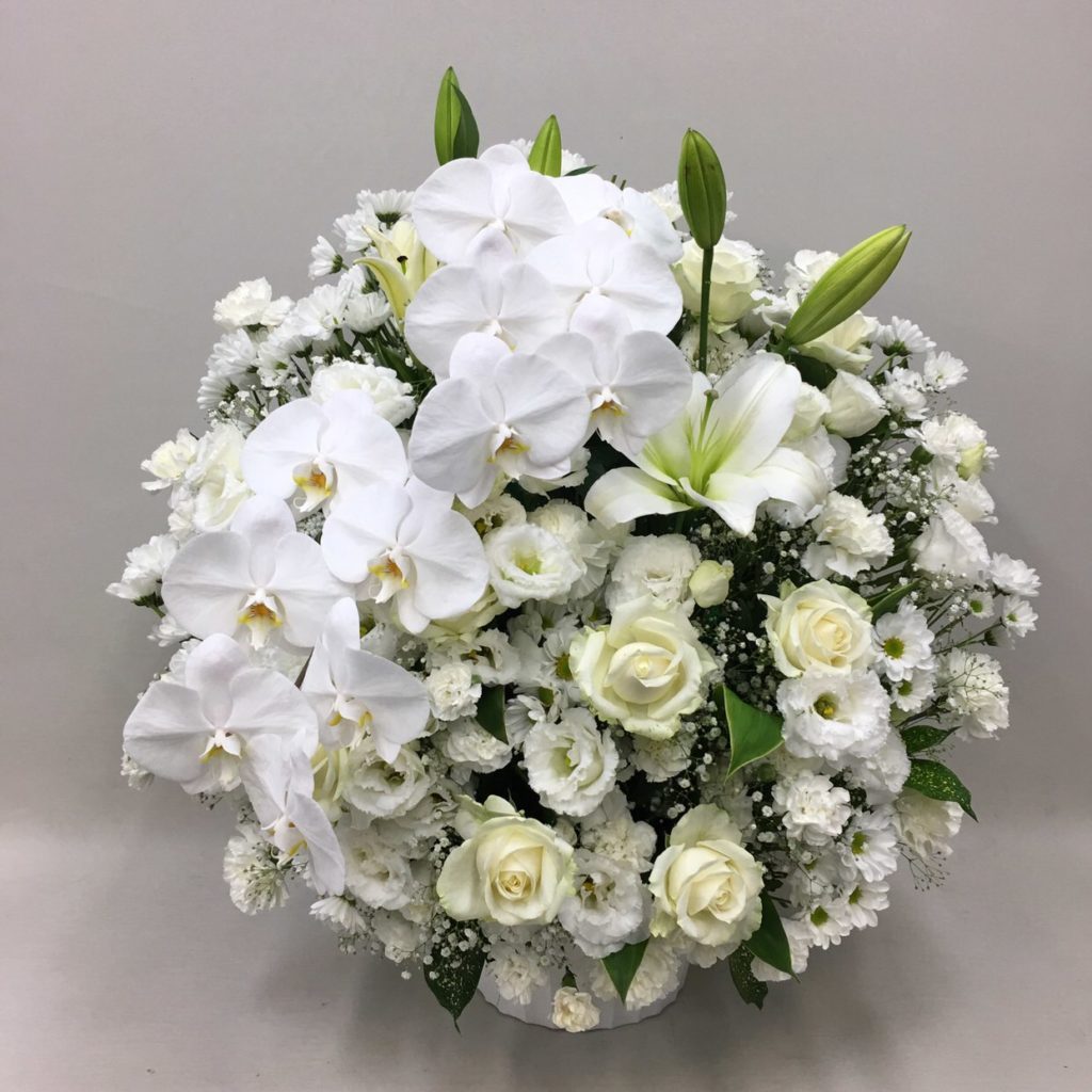 スフェアアレンジメントW胡蝶蘭 W_75_MS-OS