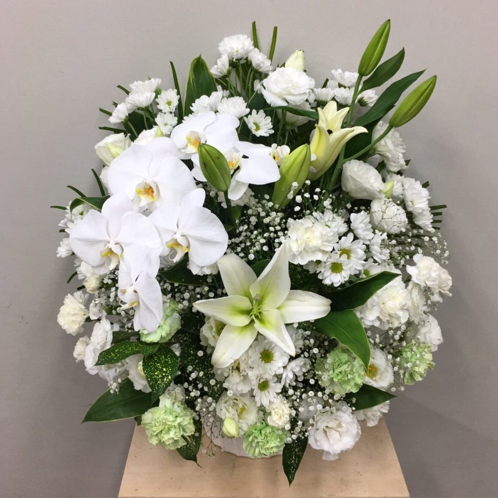 【御供】スフェアアレンジメントW胡蝶蘭_65_SP-OS