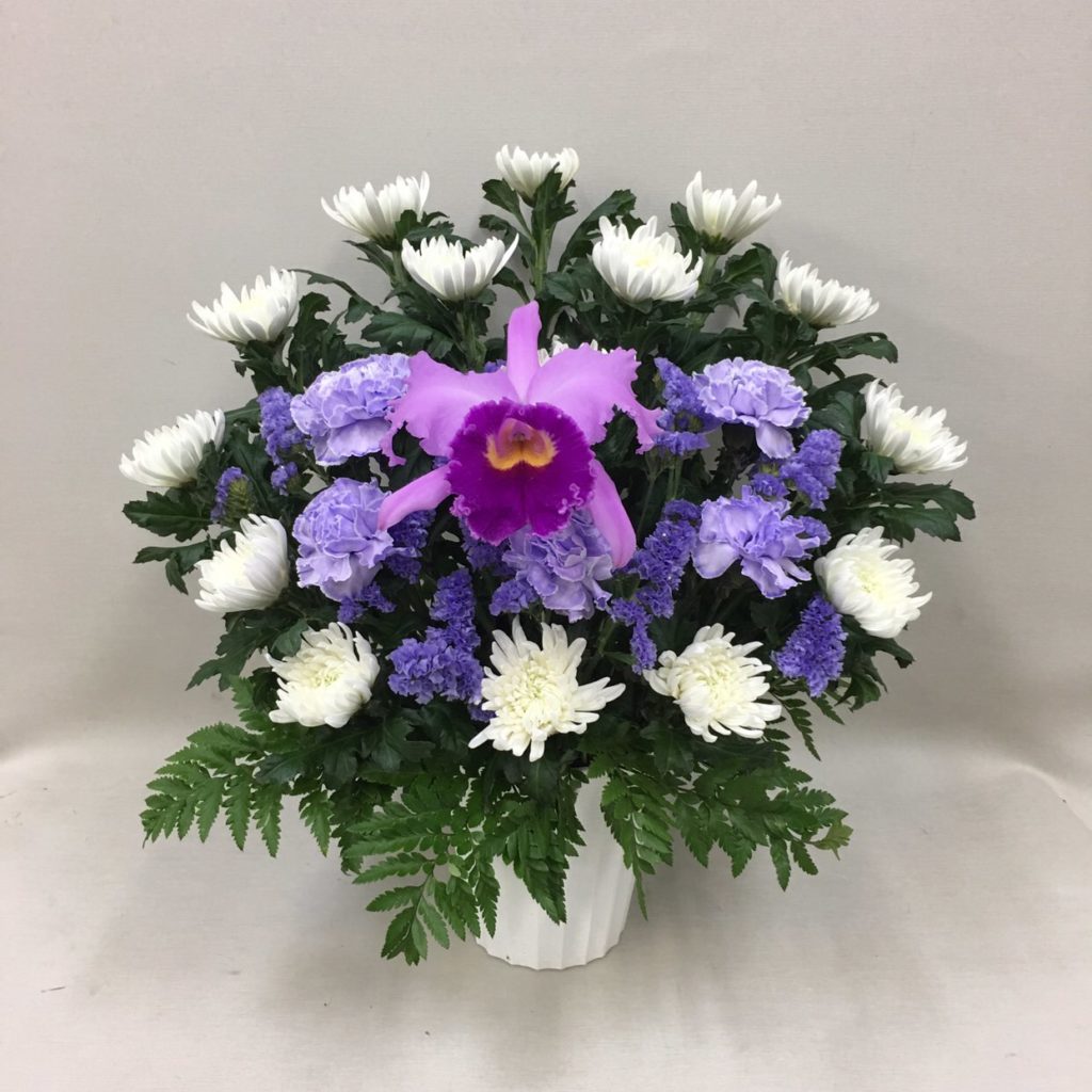 【御供】カトレアと菊のアレンジメントPP_50_SP-OS