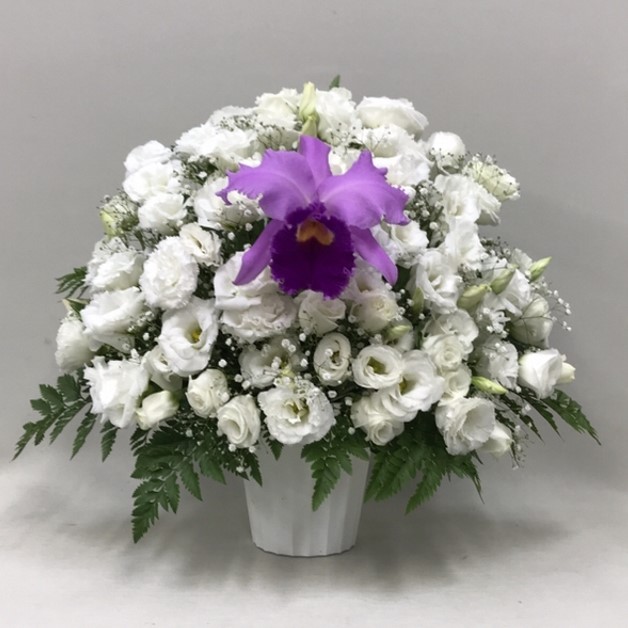 【御供】カトレアとトルコキキョウのアレンジメント_50_MS-OS