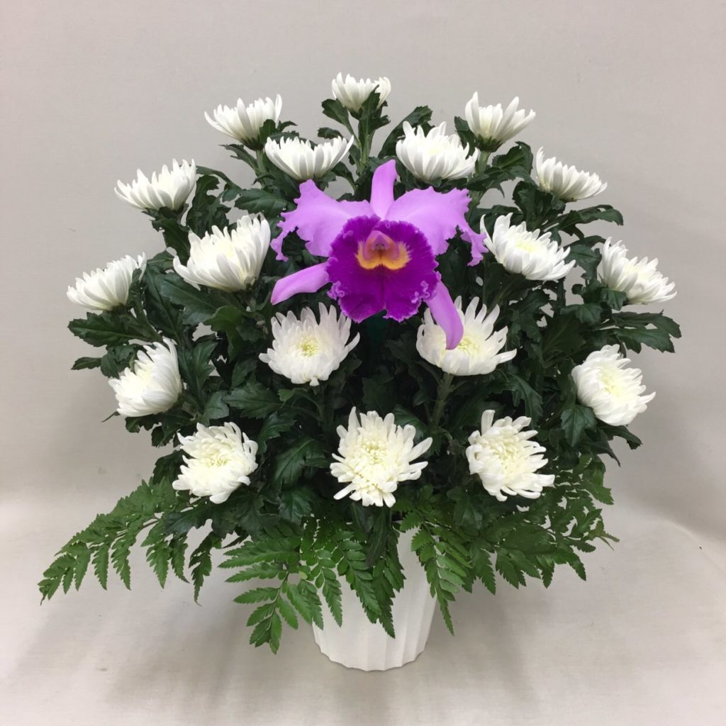 【御供】カトレアと菊のアレンジメントW_50_SP-OS