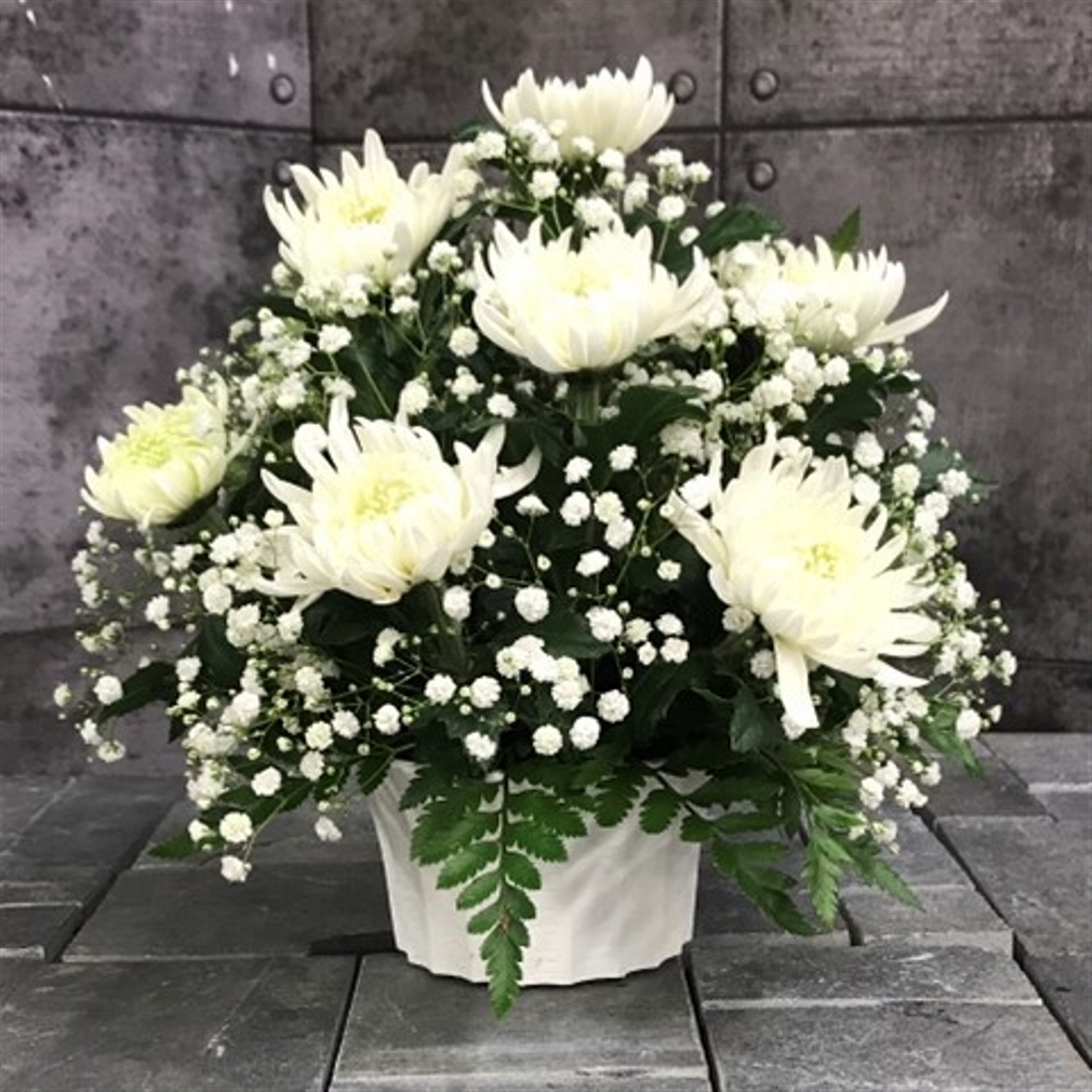 【御供】菊のアレンジメントW_26_SP-OS