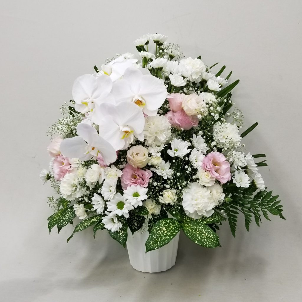 【御供】胡蝶蘭入りカーネーションとカスミソウのアレンジメントWP_60_SP-OS