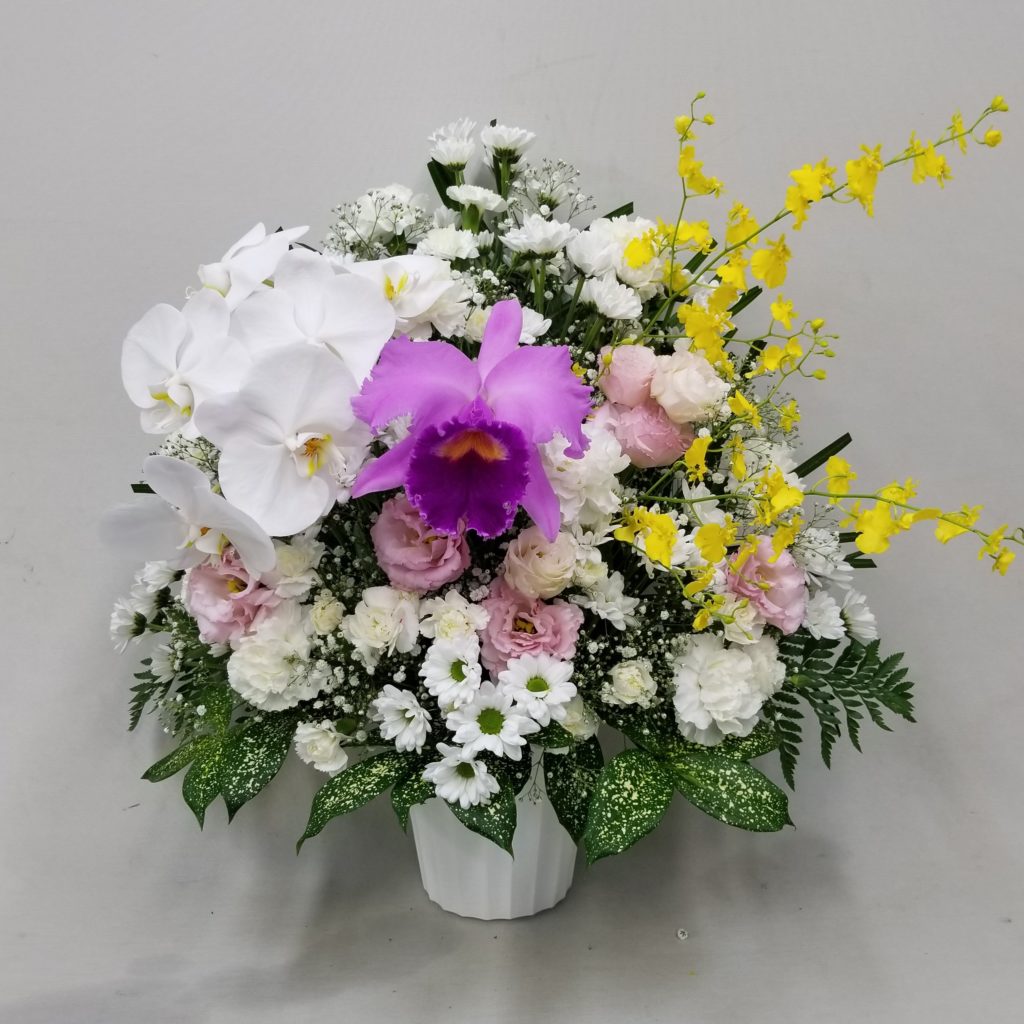 【御供】蘭MIXカーネーションとカスミソウのアレンジメントWP_60_SP-OS