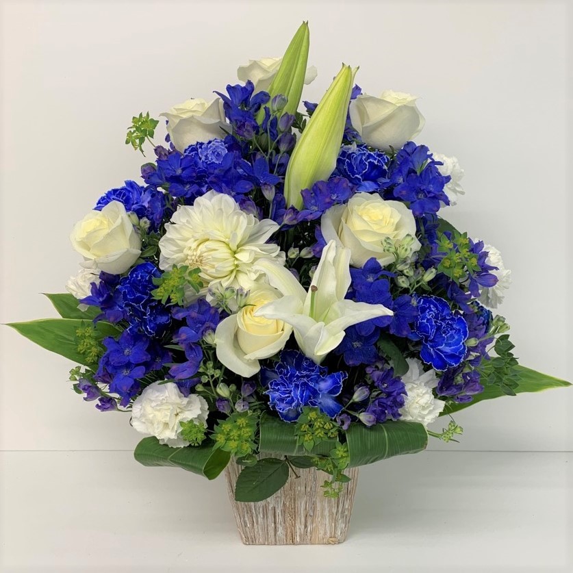 大人気の白と青のアレンジメント。開店祝い、誕生日、お供えまで幅広く贈られるアレンジメントです。