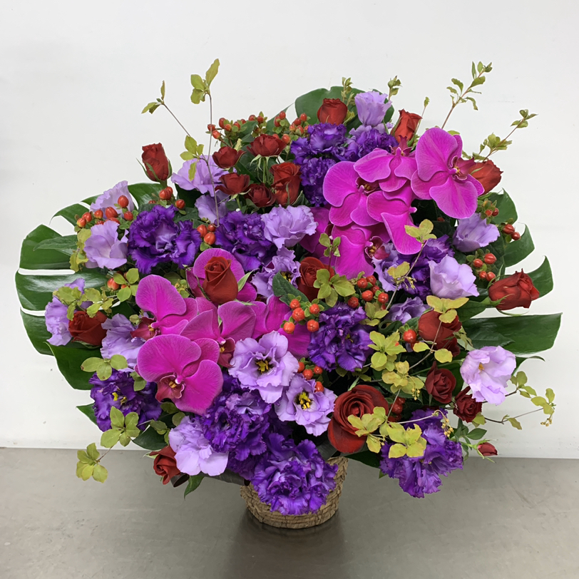 紫とピンクの胡蝶蘭入りアレンジメント (H75)