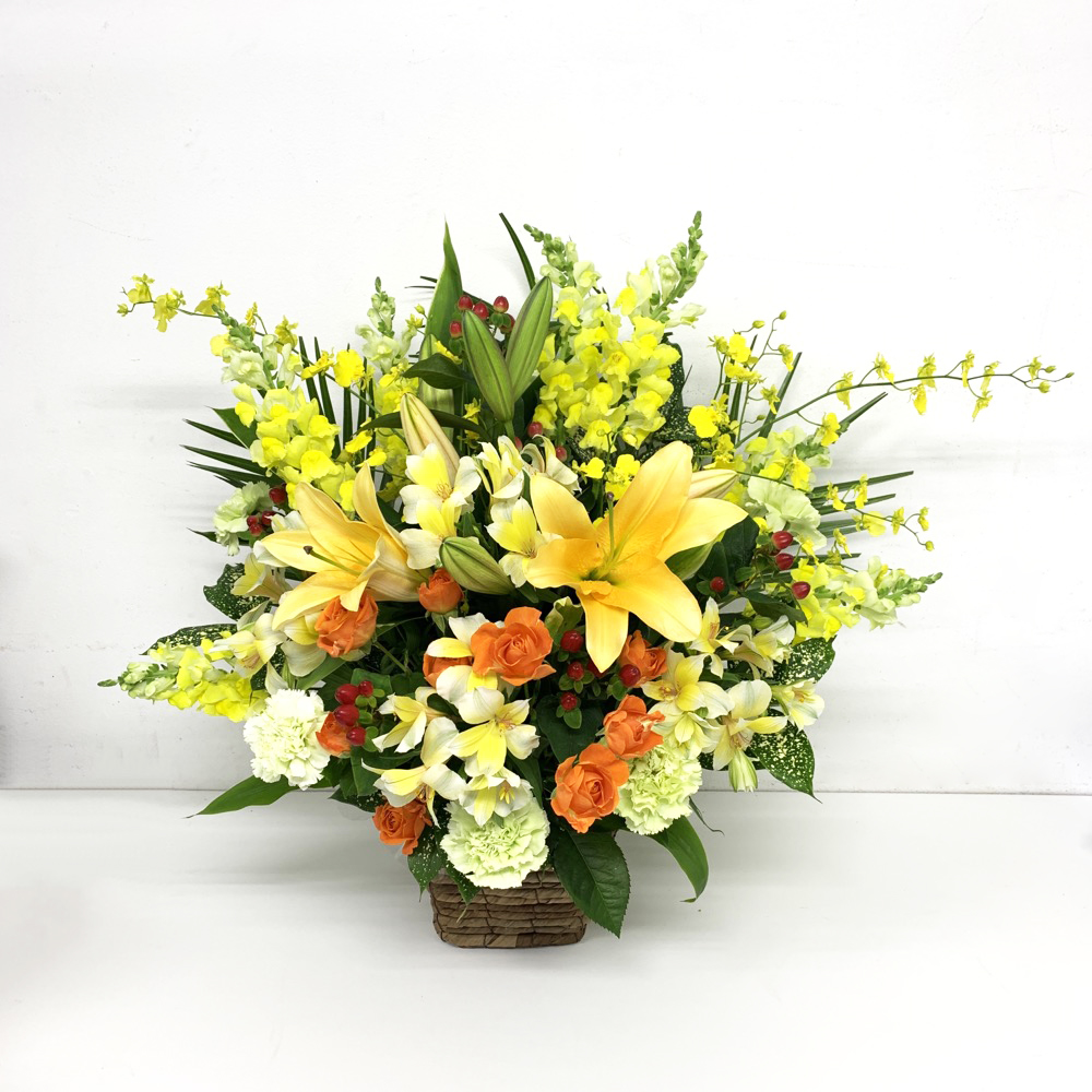 Ｙ×Ｏビタミンカラーアレンジメント (H55)