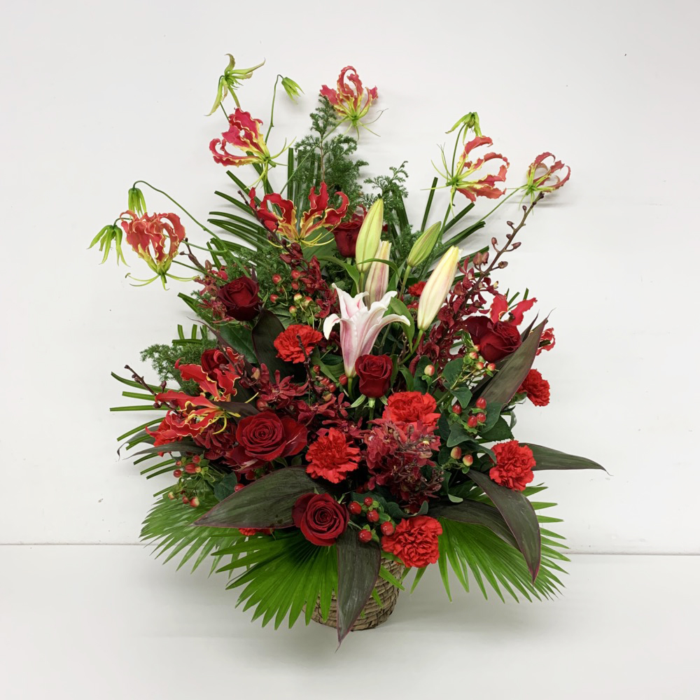 レッド系ホワイトポイント アレンジメント (H65)