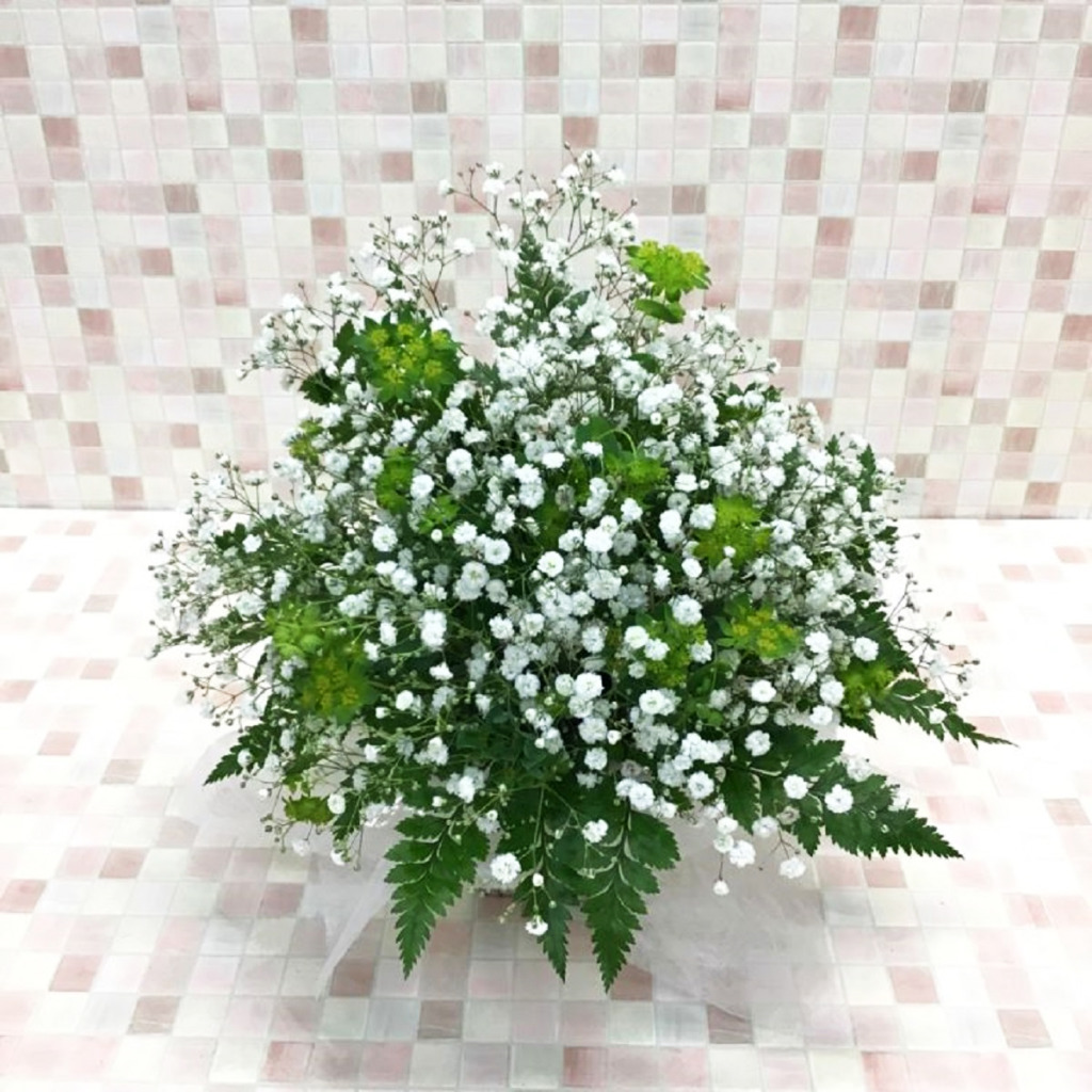 ホワイト×グリーン カスミ草 アレンジメント（H25）