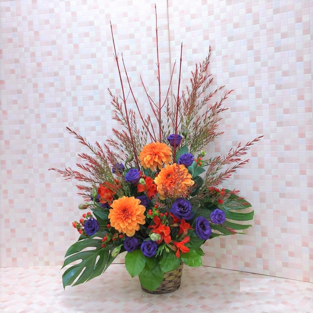 オレンジｘ紫 ツートーン アレンジメント (H65)