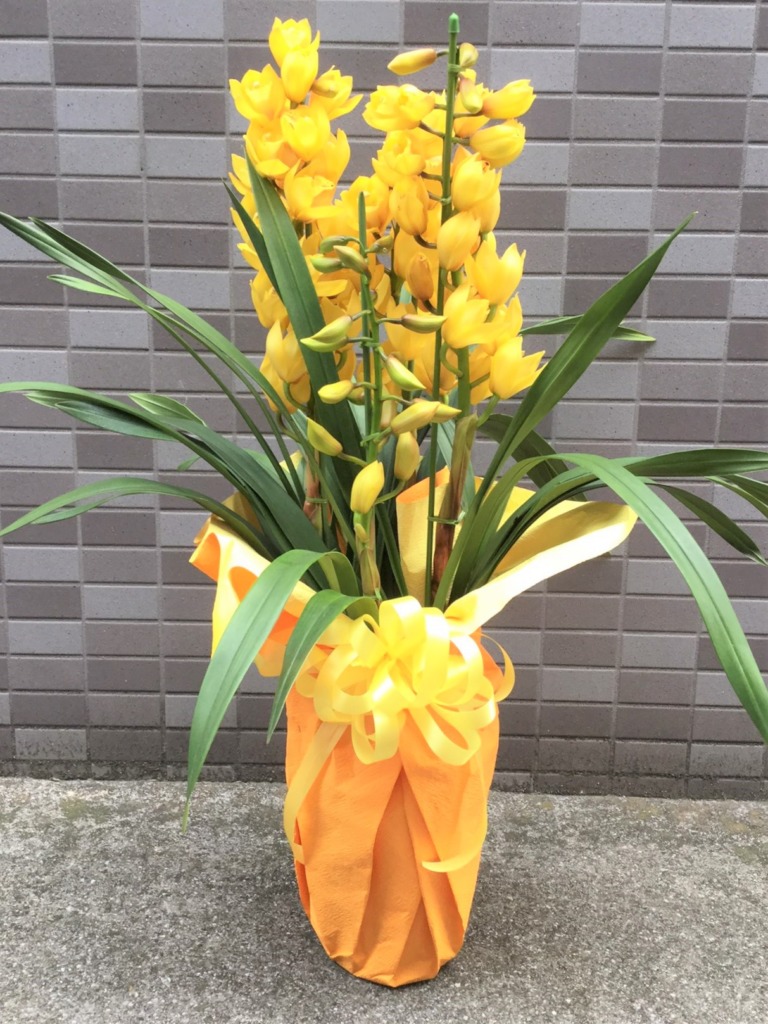 黄色 シンビジューム4本立ち