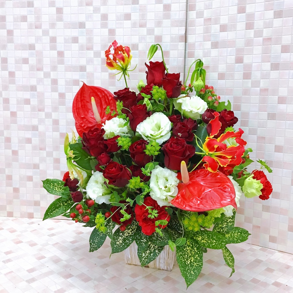 赤と白のツートーン　アレンジメント (H50)