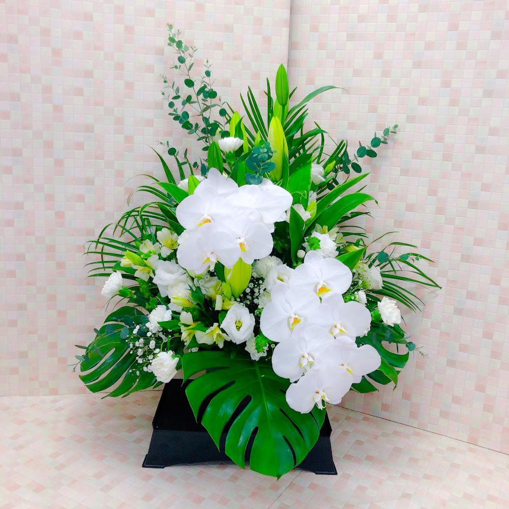 【御供】胡蝶蘭入り供花台アレンジメント〈枕花〉（H75）【送料無料】