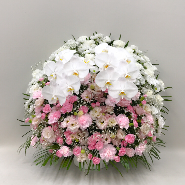【供花】胡蝶蘭2本入りトルコキキョウとカーネーションのスフェアアレンジメント〈ピンク〉（H75）【送料無料】