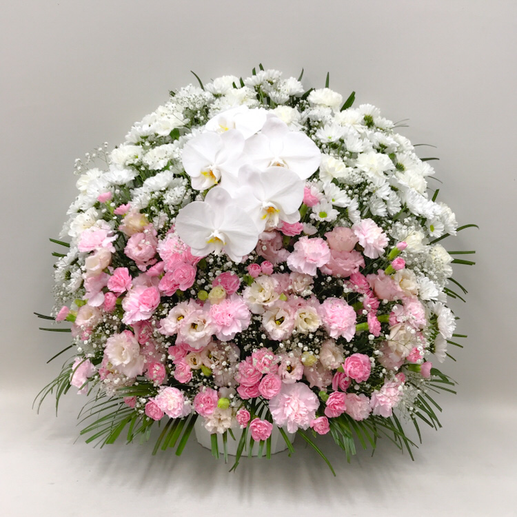 【供花】胡蝶蘭入りトルコキキョウとカーネーションのスフェアアレンジメント〈ピンク〉（H75）【送料無料】