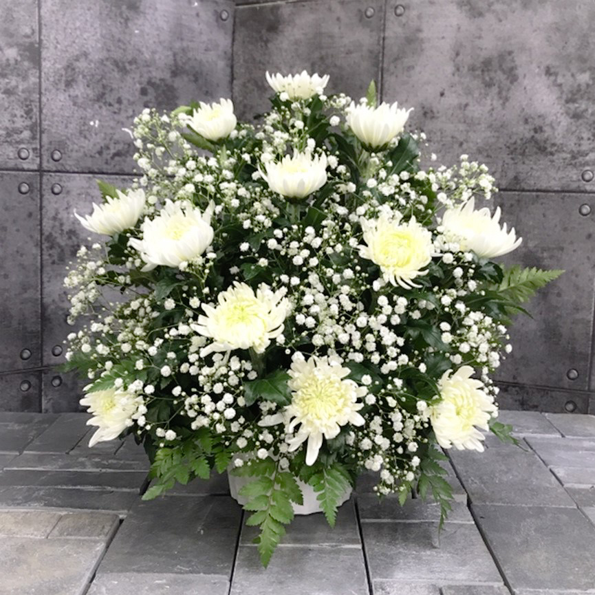 【供花】菊とかすみ草のアレンジメント（H40）